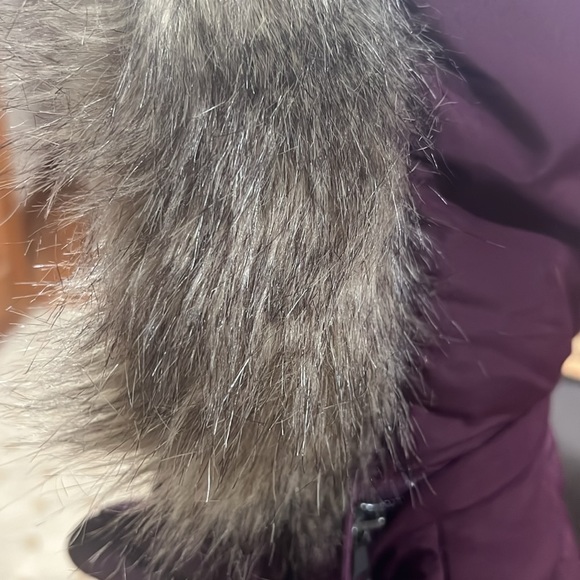 Banana Republic XS Vest with Hood and Fleece Lining // Plum - Picture 8 of 9